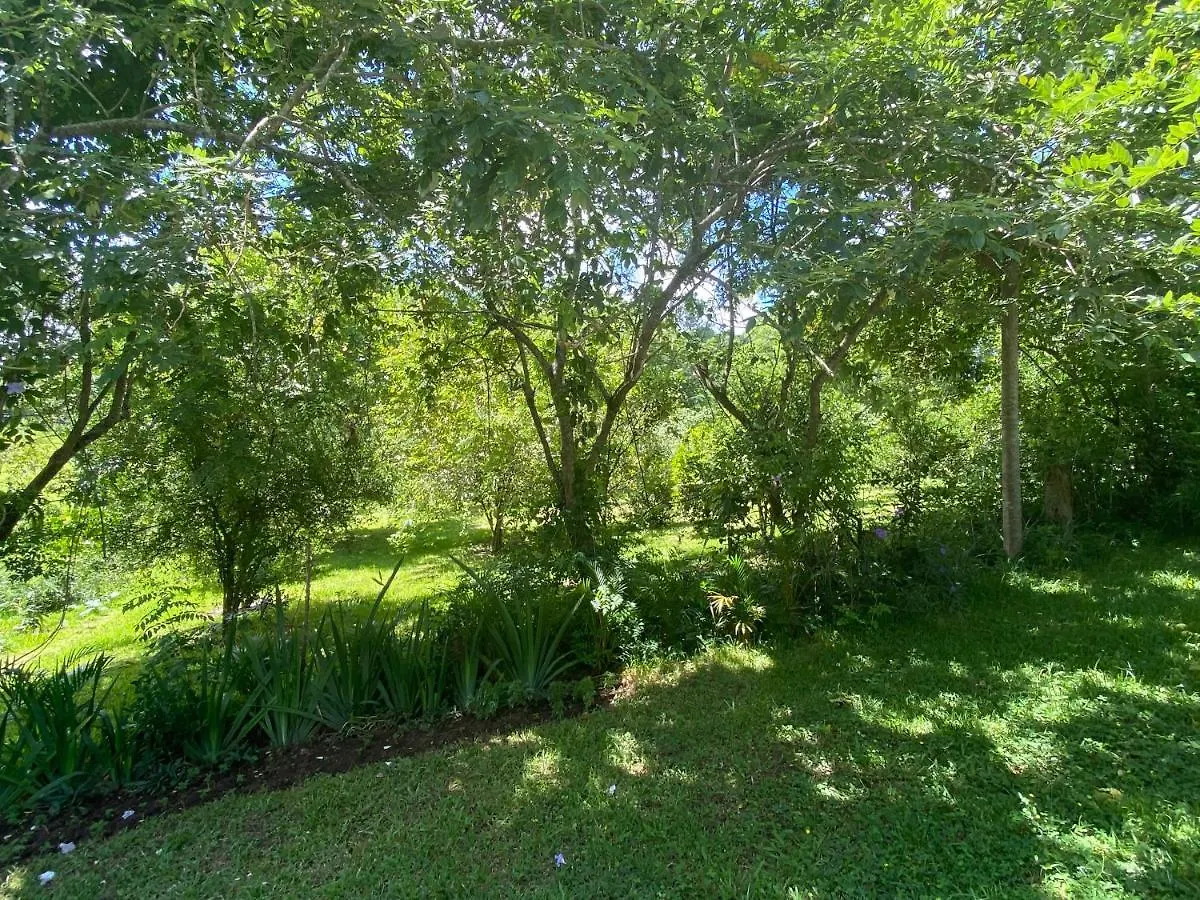 Villa Unter Palmen Jarabacoa
